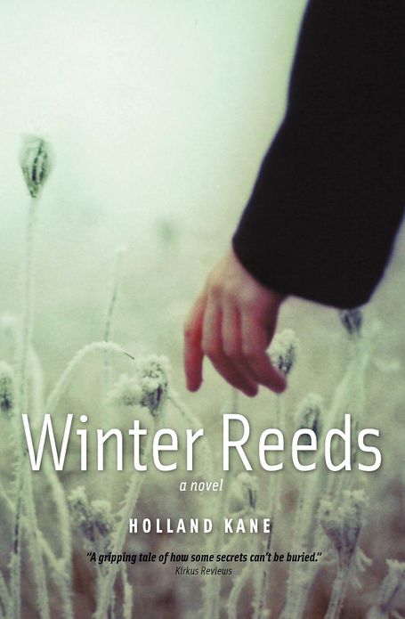 Winter Reeds