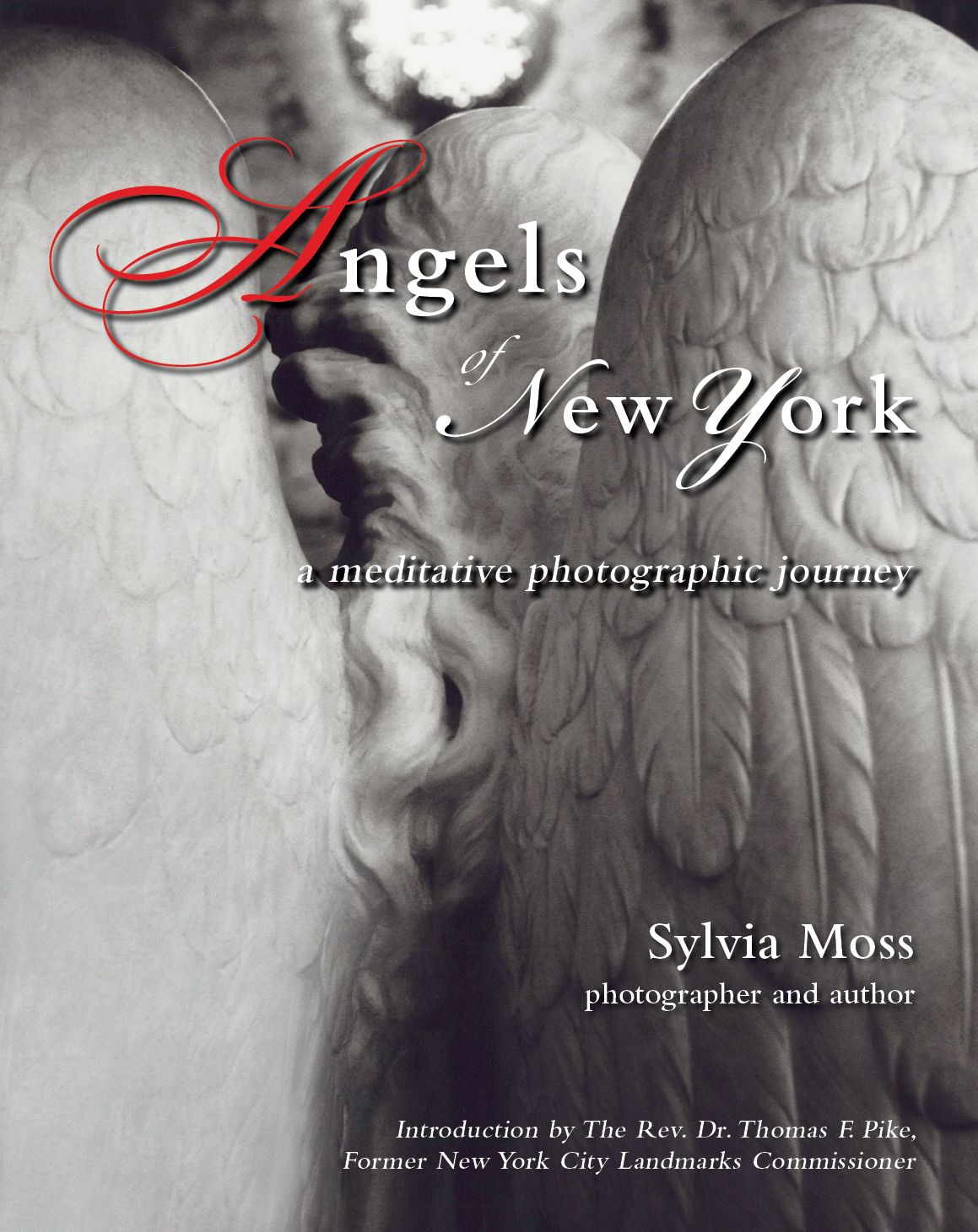 Angels of New York: A Meditative Photographic Journey