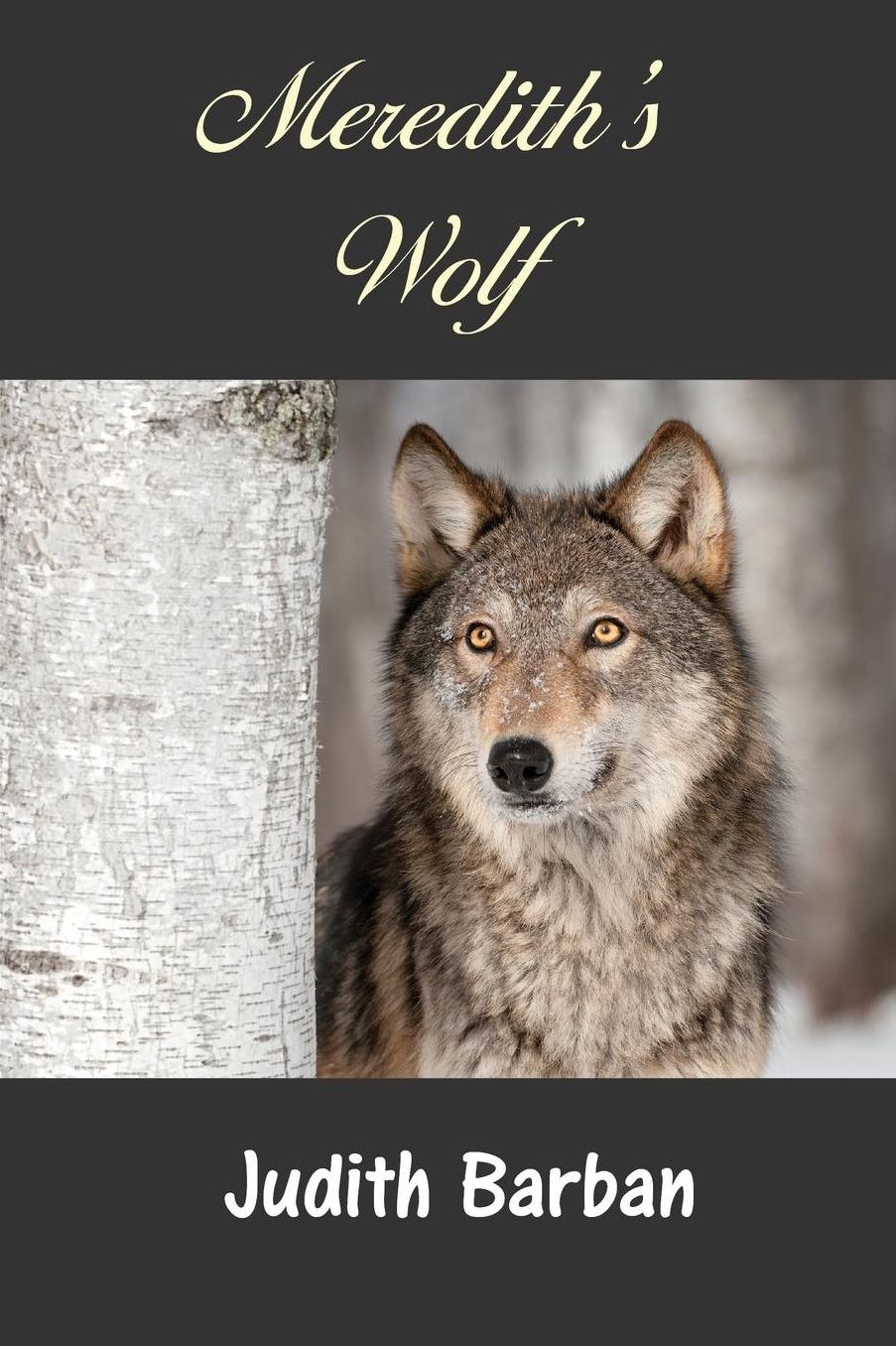 Meredith's Wolf