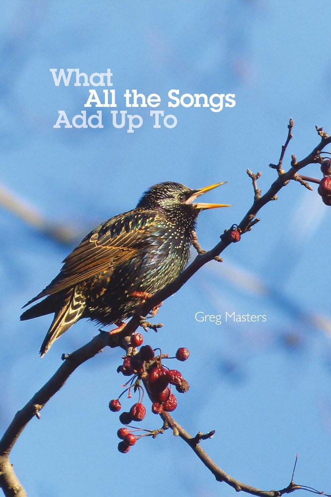 What All the Songs Add Up to: Poems