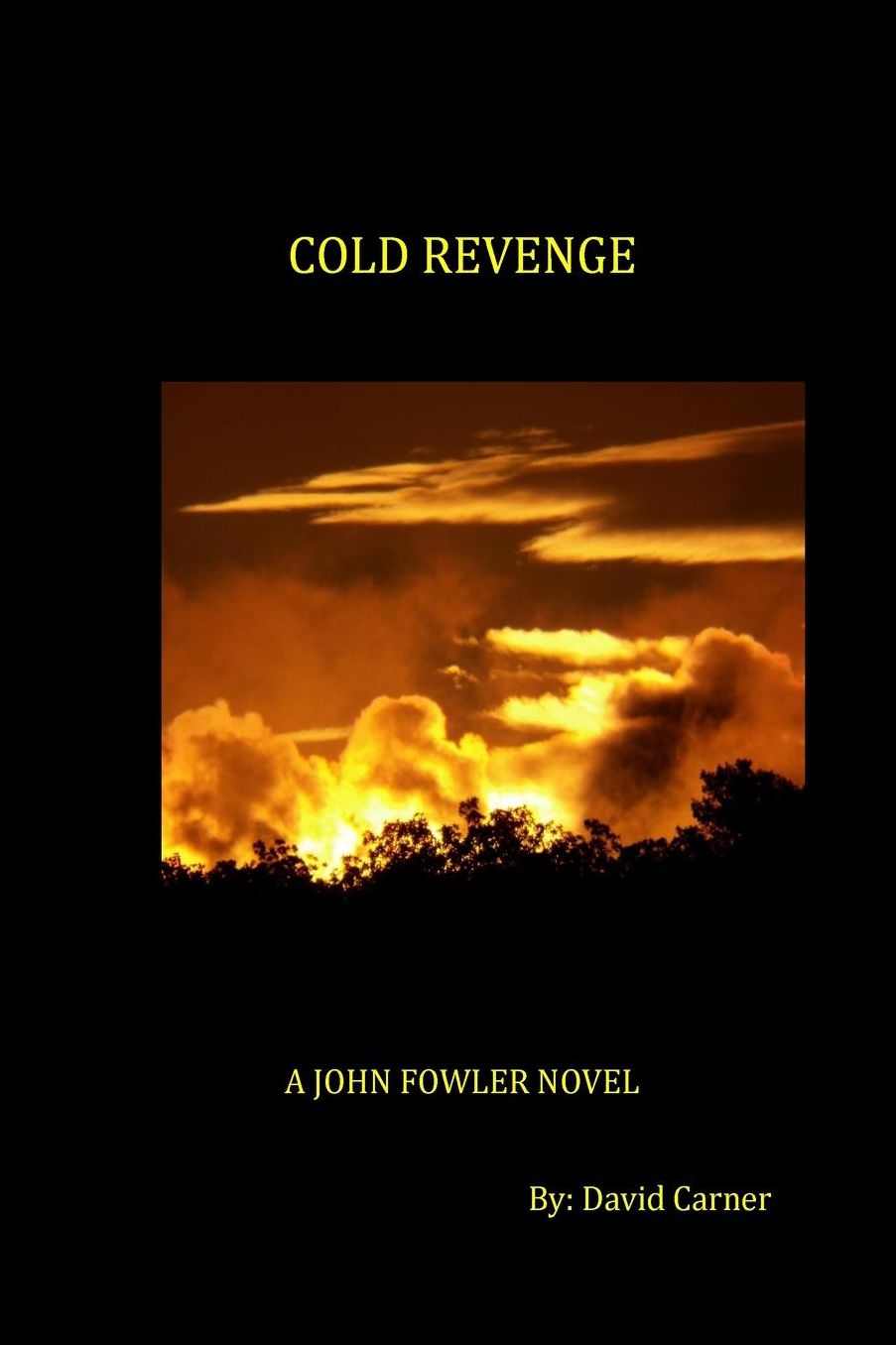 Cold Revenge: A John Fowler Novel