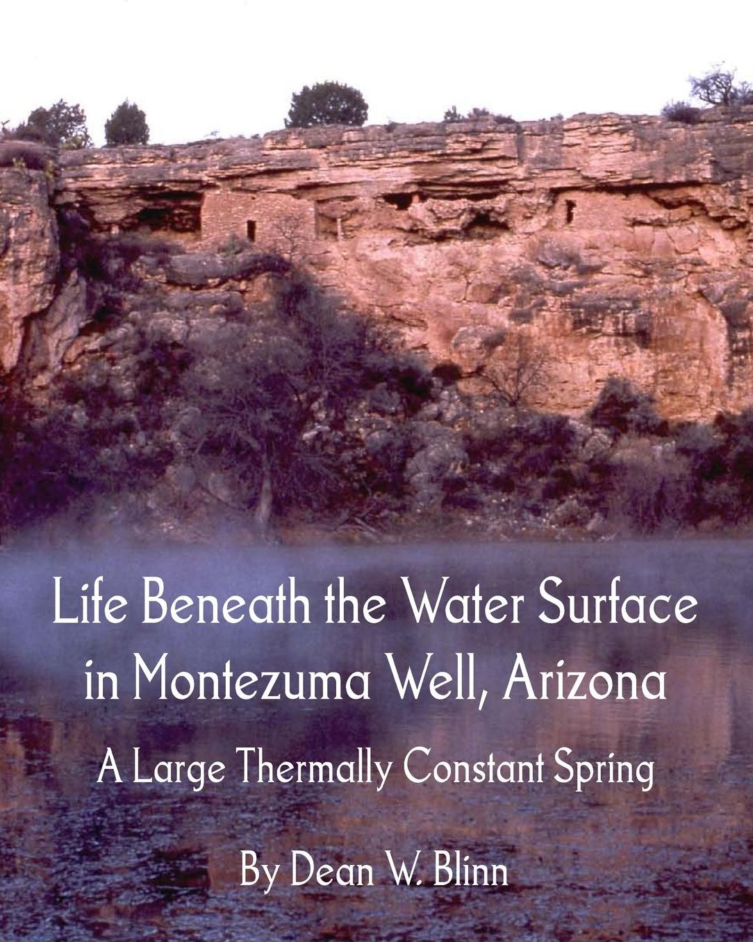 Life Beneath the Water Surface in Montezuma Well Arizona: A Large Thermally Constant Spring