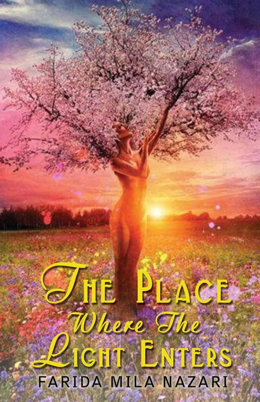 The Place Where the Light Enters