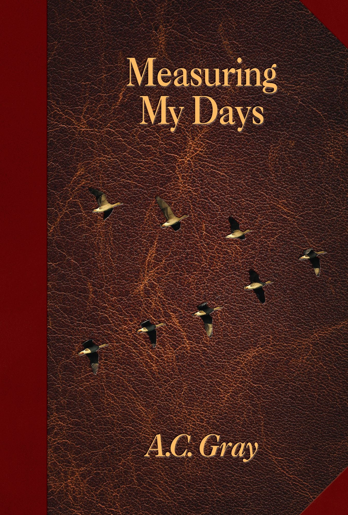 Measuring My Days: Journals of A. C. Gray