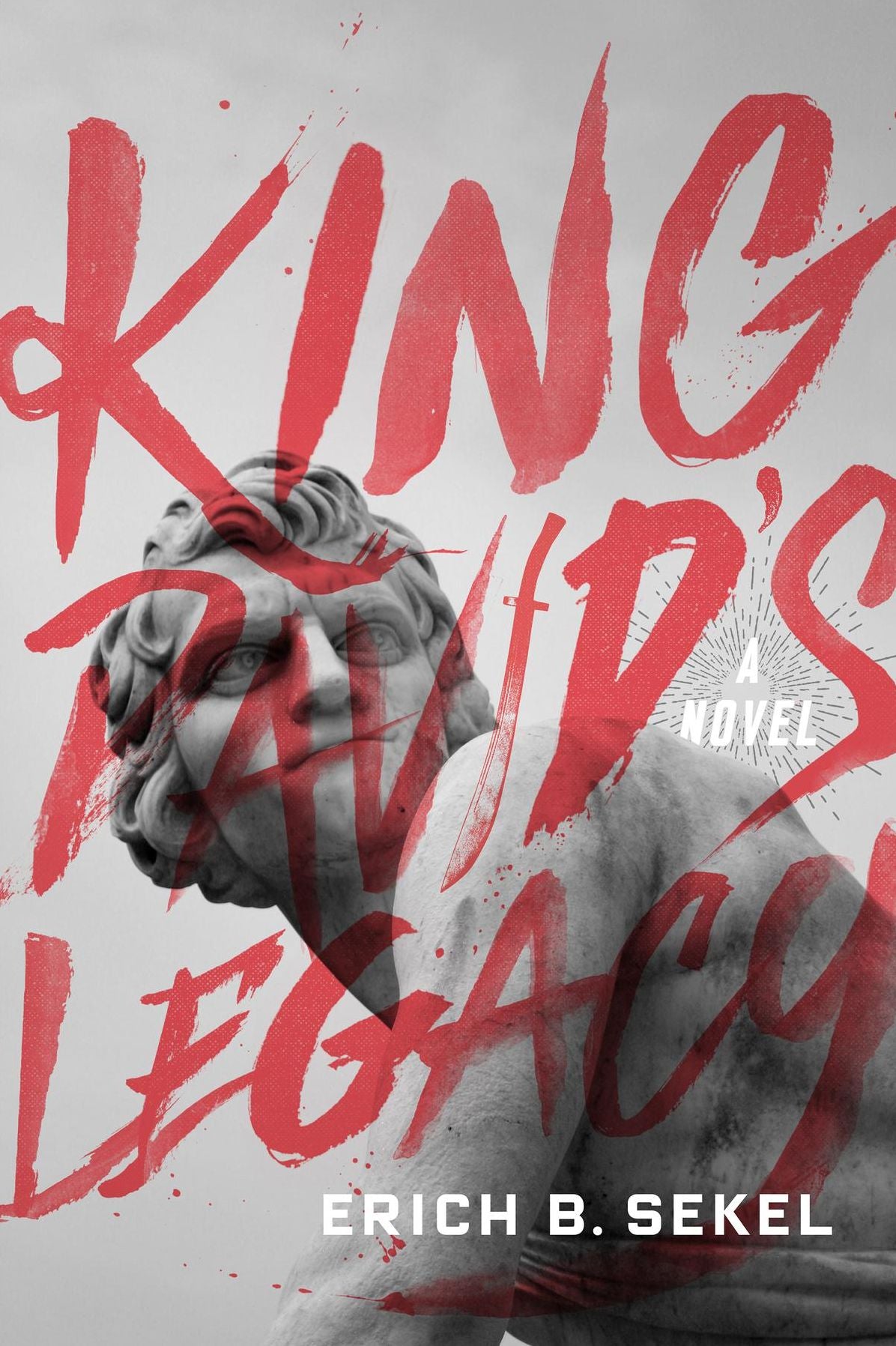 King David's Legacy: A Novel