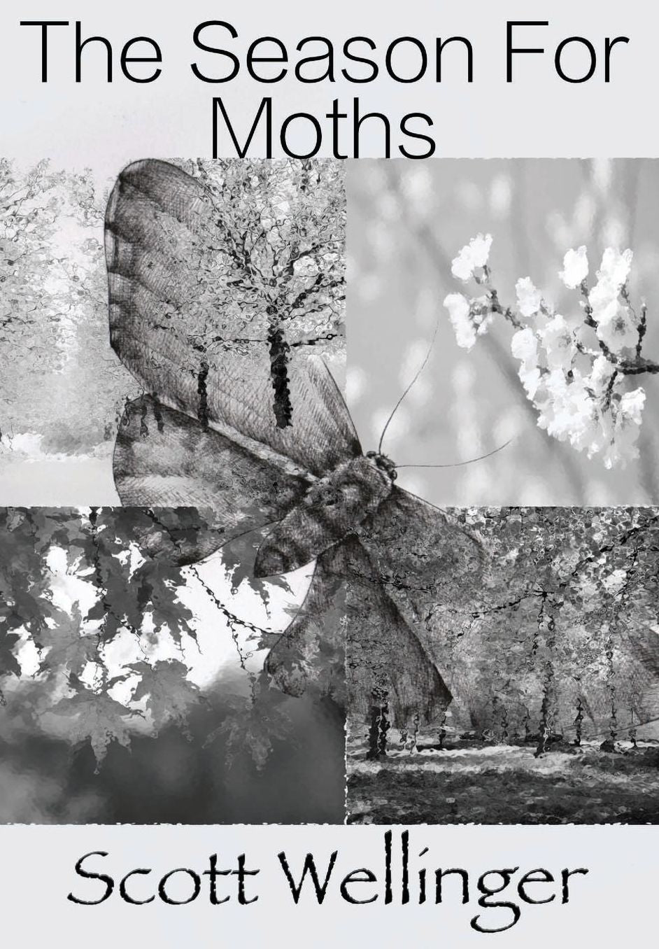 The Season For Moths