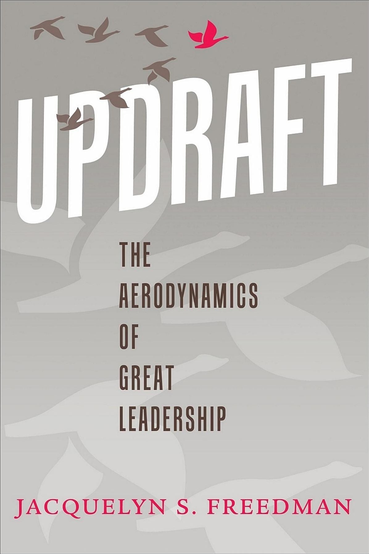 Updraft: The Aerodynamics of Great Leadership