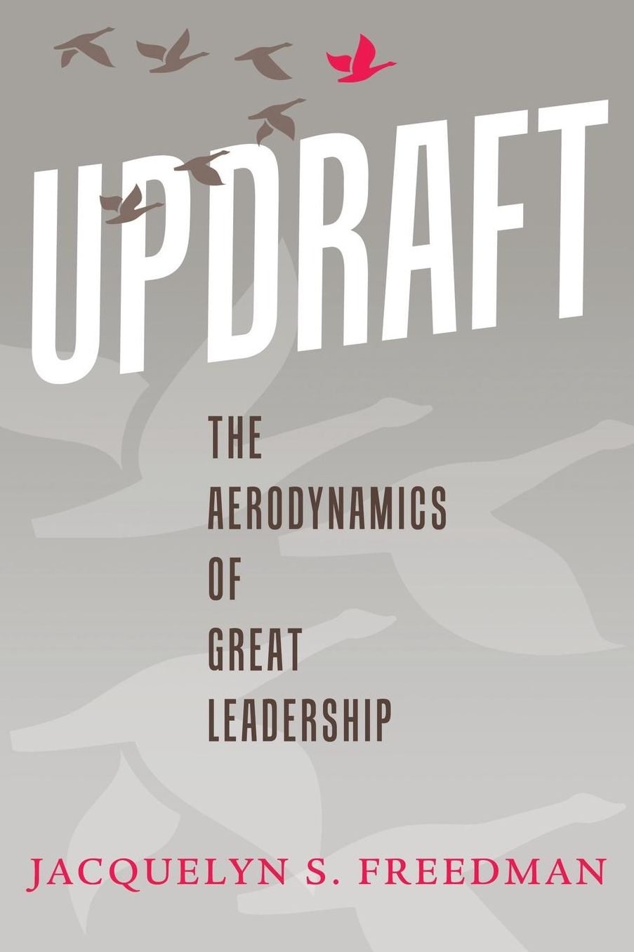Updraft: The Aerodynamics of Great Leadership