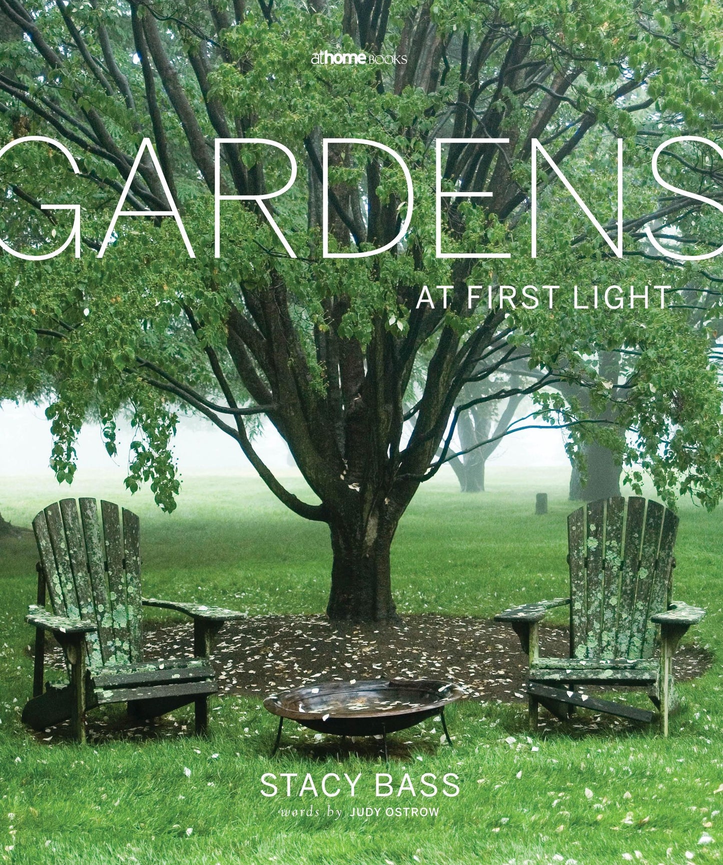 Gardens at First Light