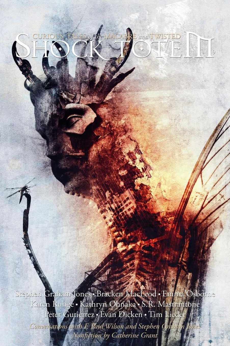 Shock Totem 9: Curious Tales of the Macabre and Twisted