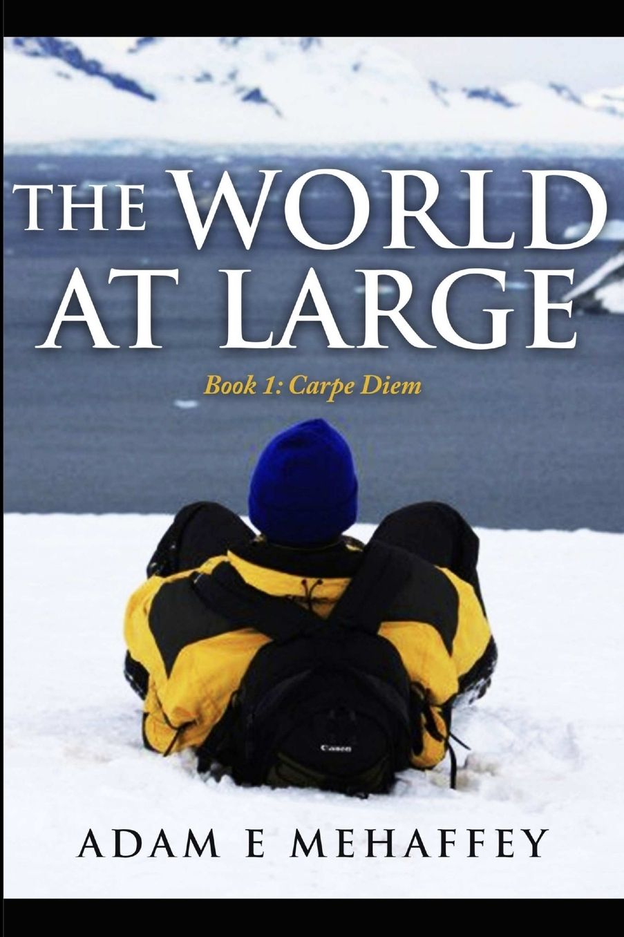 The World at Large - Book 1: Carpe Diem