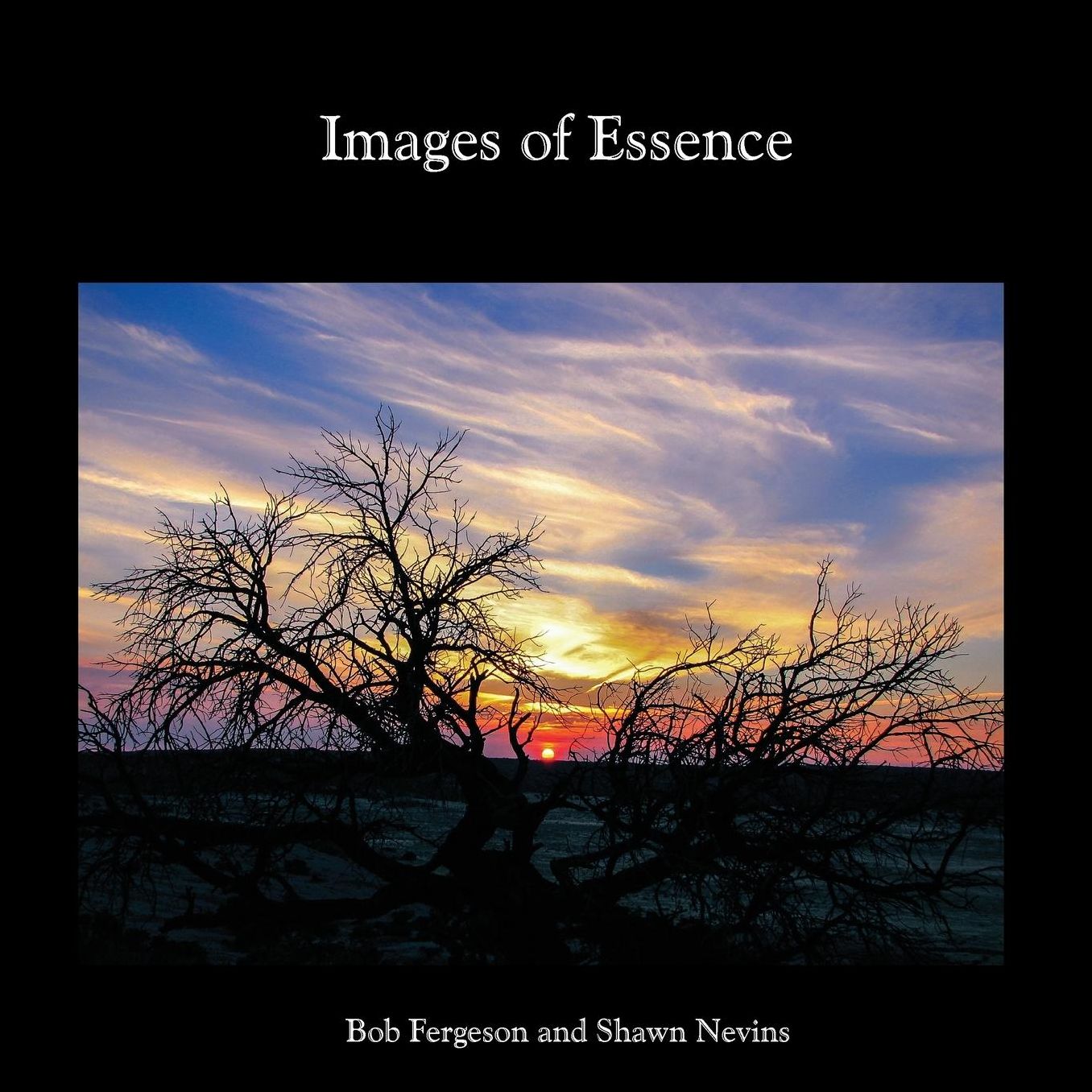 Images of Essence