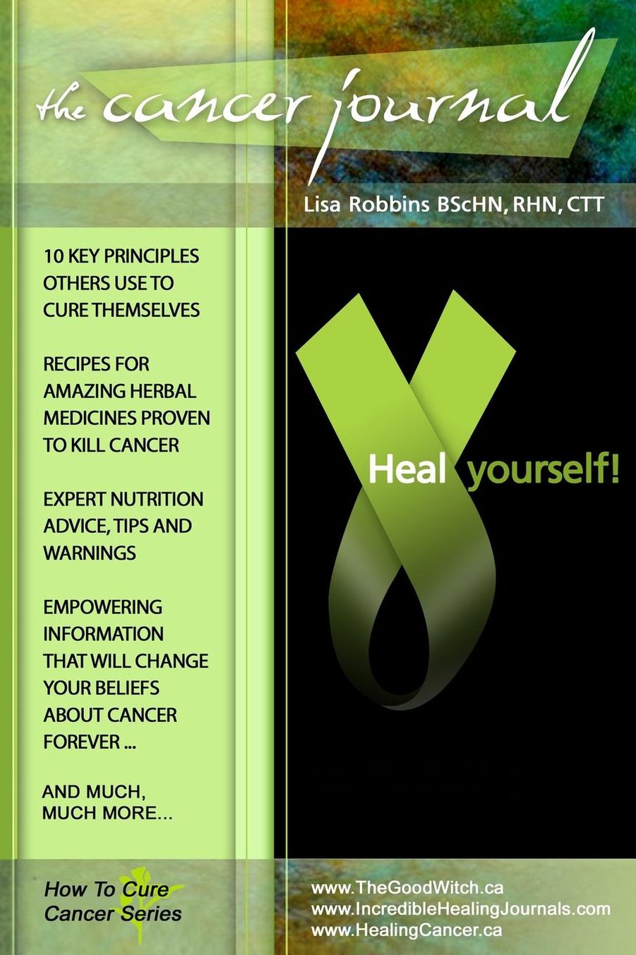 The Cancer Journal Heal Yourself!: How to Cure Cancer Series