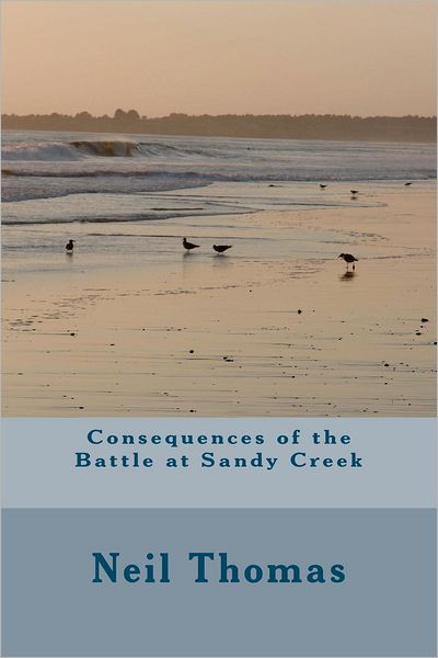 Consequences of the Battle at Sandy Creek