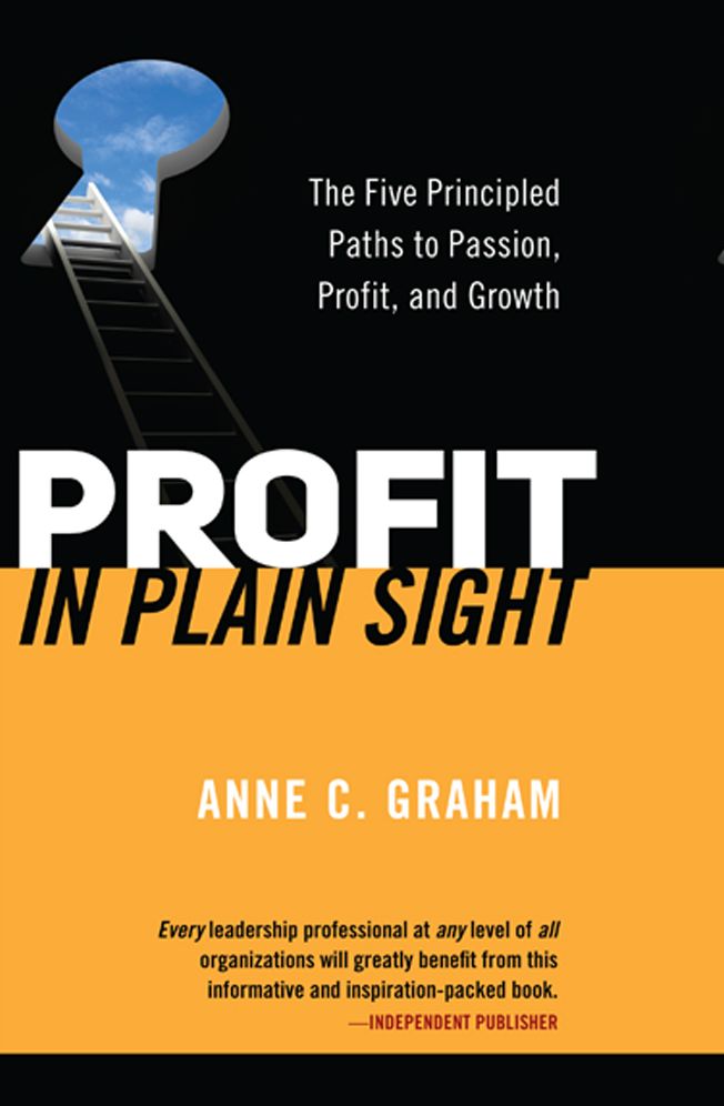 Solutions in Plain Sight: Transform Your Top Business Challenges into Profit, Passion, and Growth