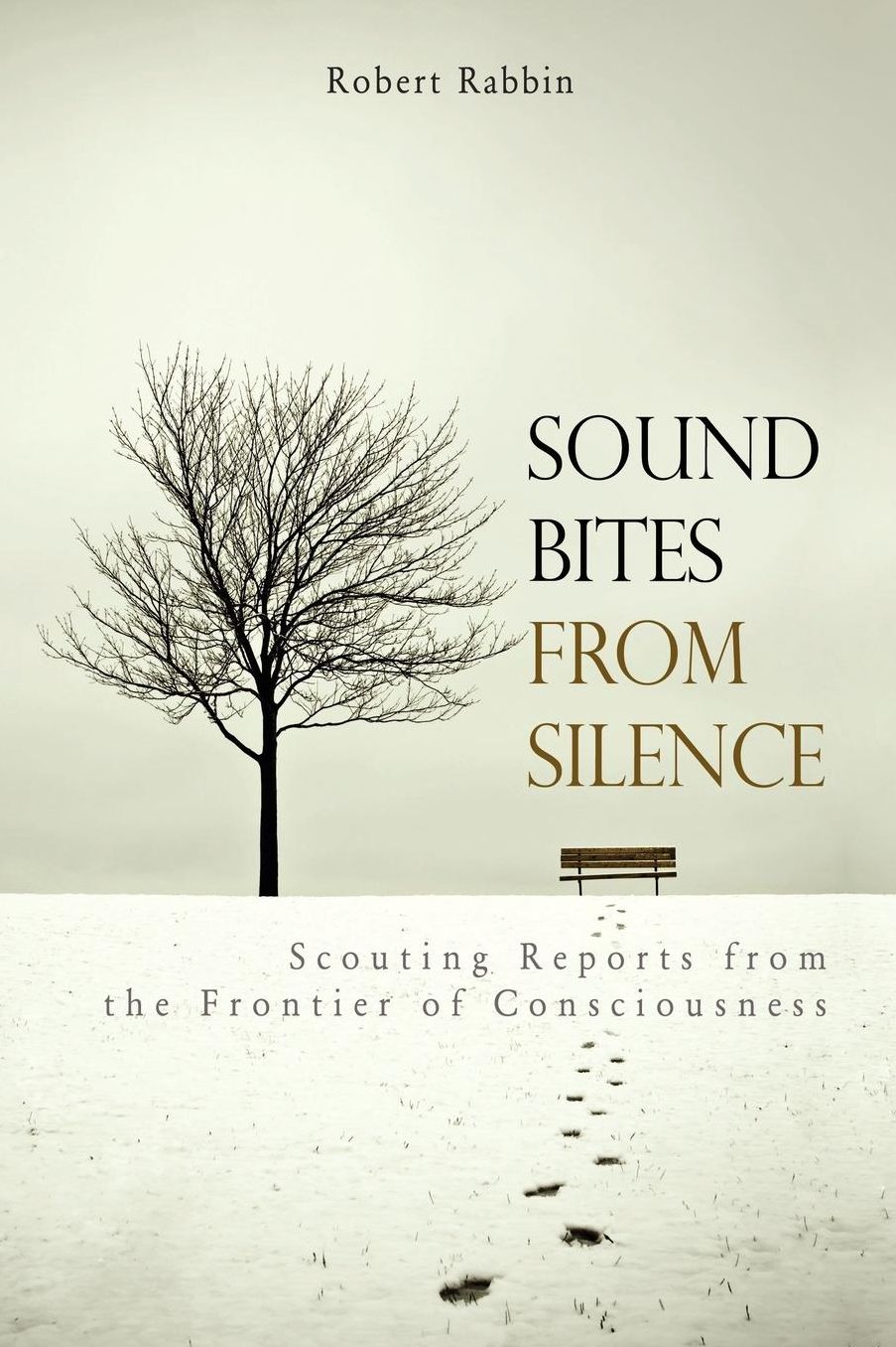 Sound Bites From Silence
