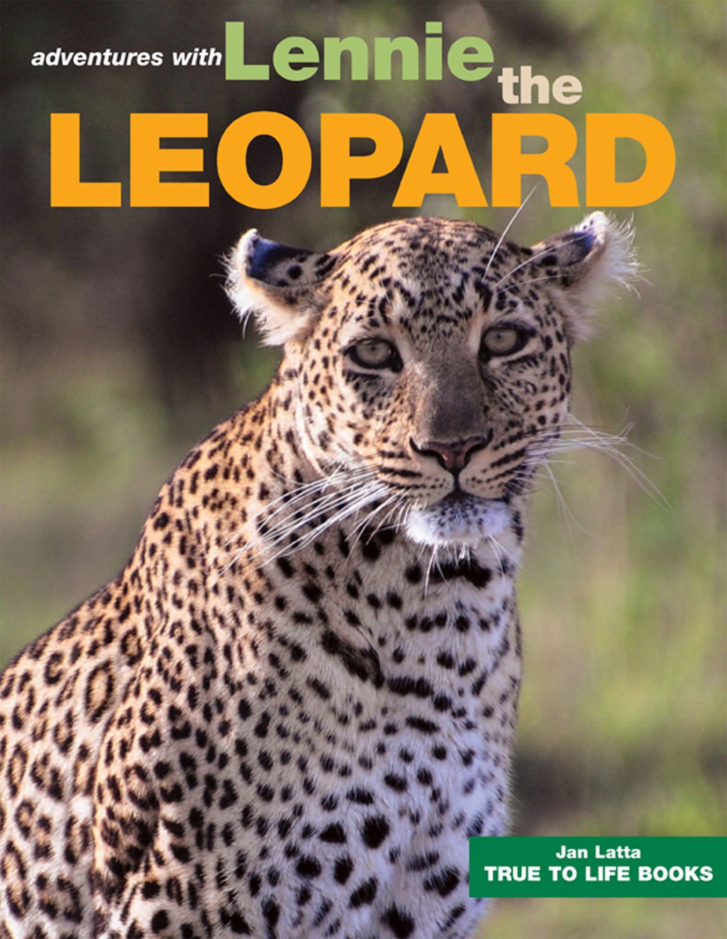 Lennie the Leopard