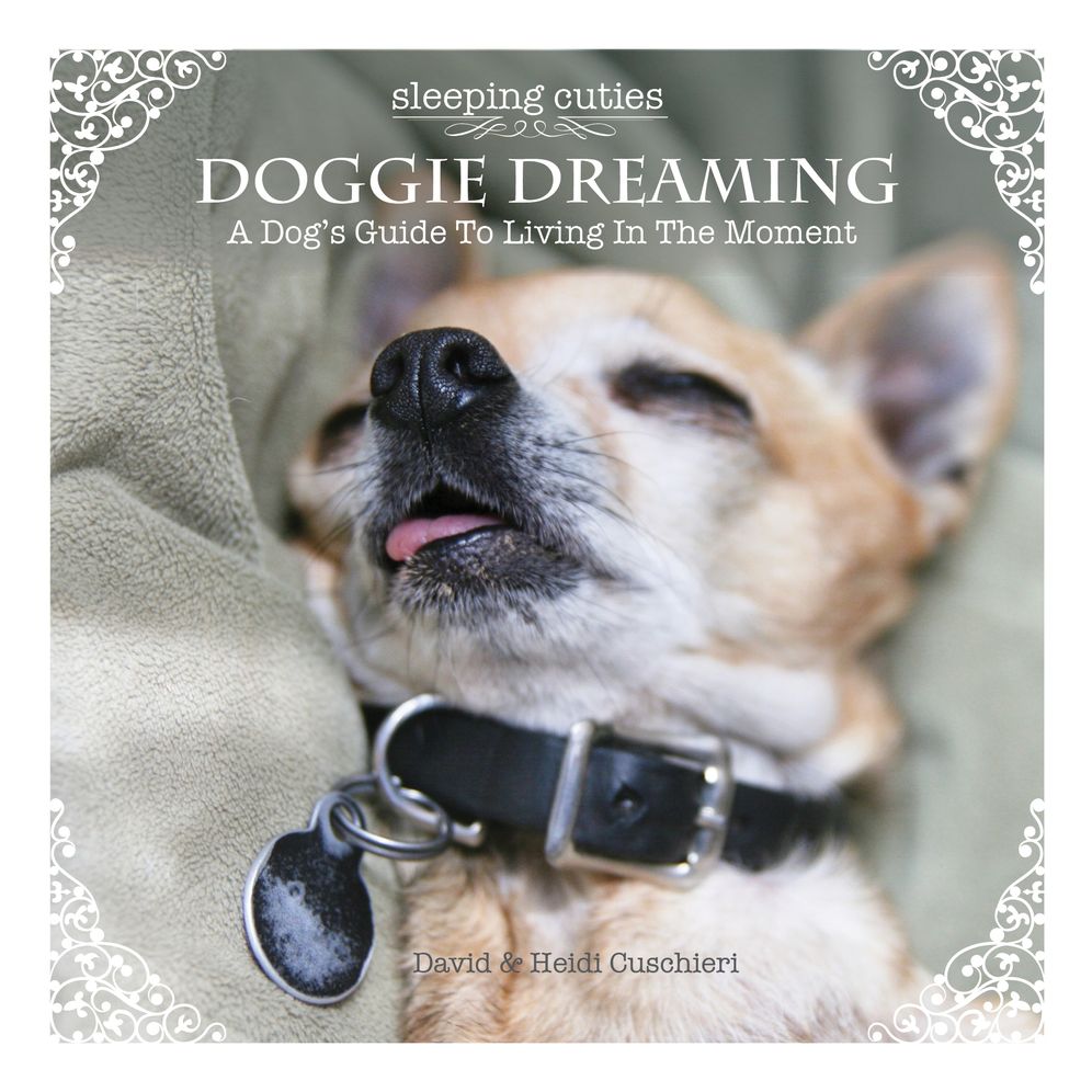 Doggie Dreaming: A Dog's Guide to Living in the Moment