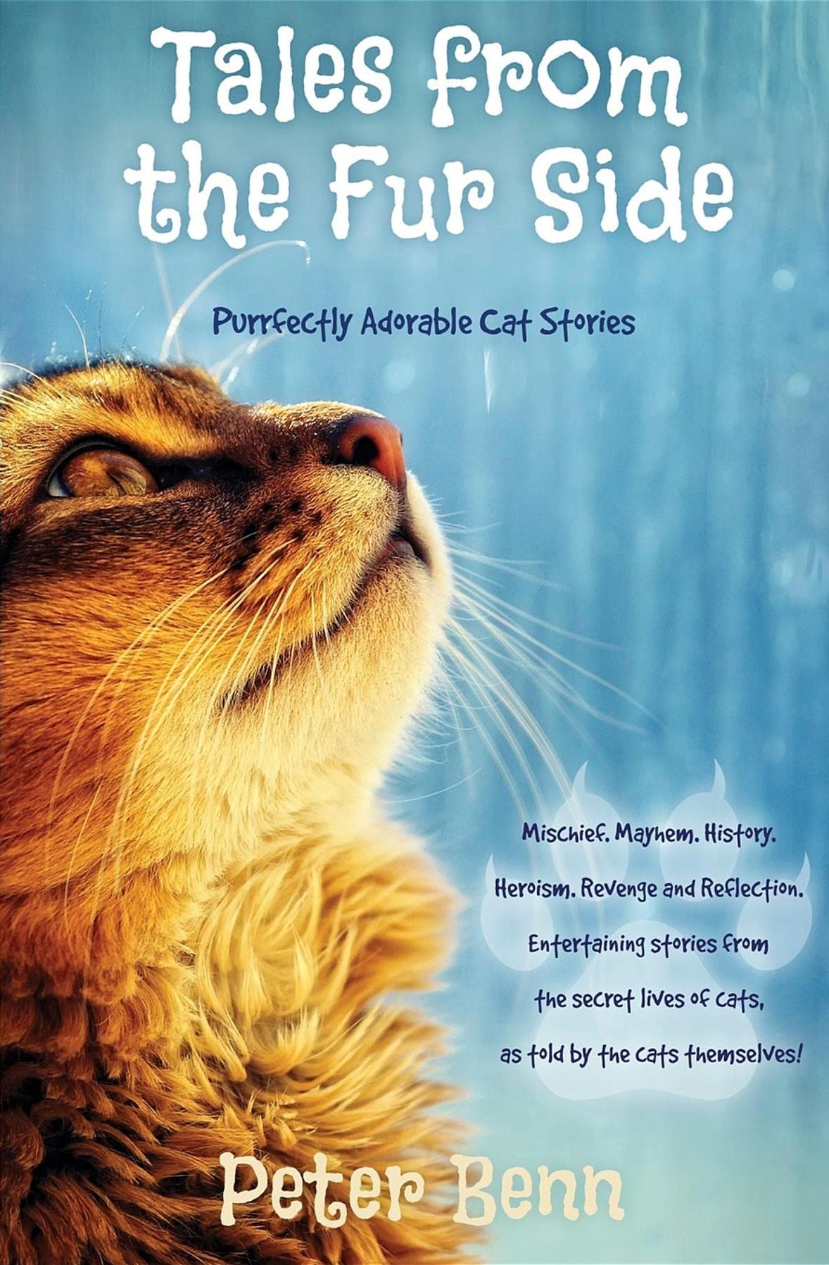 TALES FROM THE FUR SIDE: Purrfectly Adorable Cat Stories