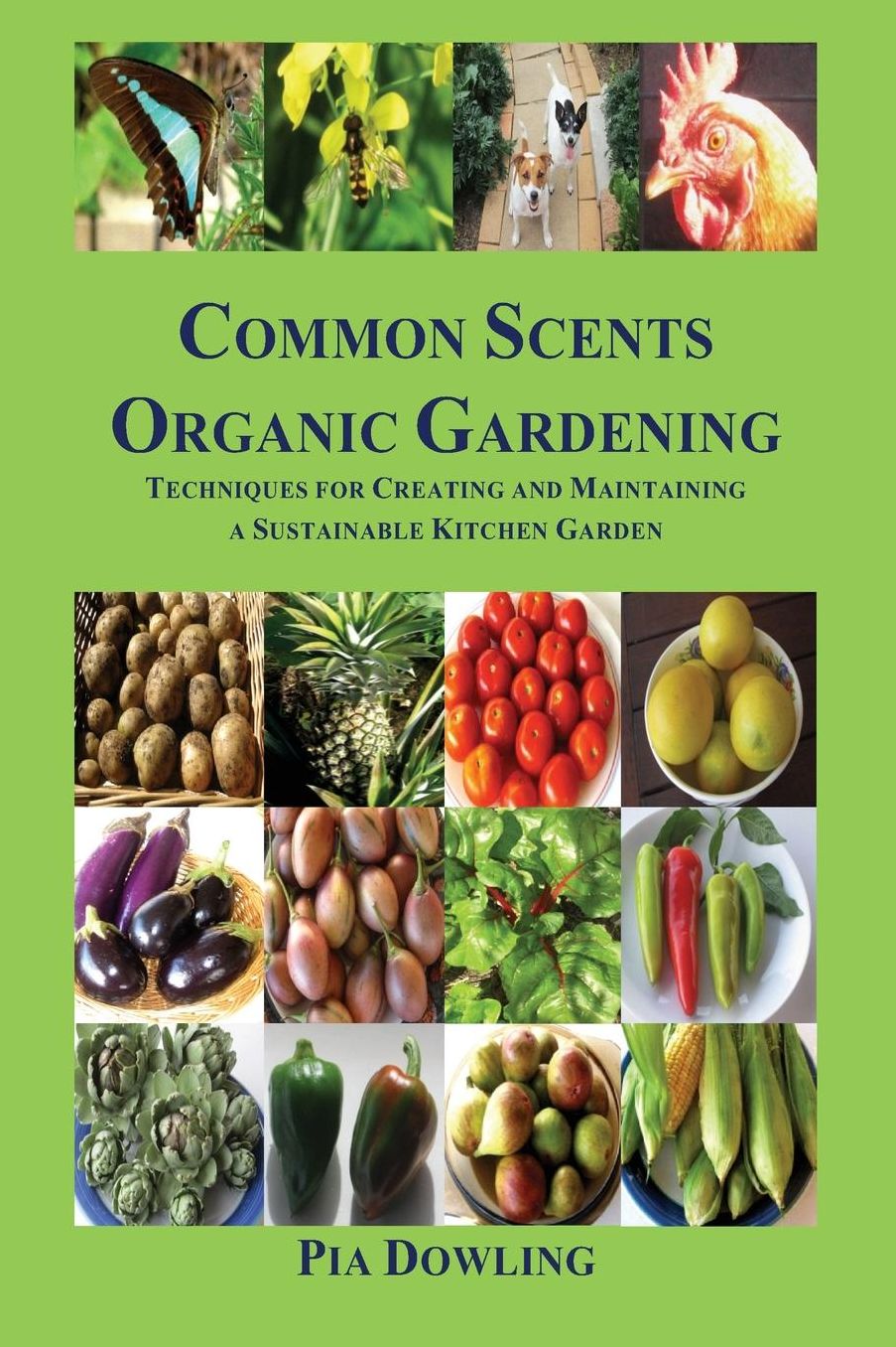 Common Scents Organic Gardening: Techniques for Creating and Maintaining a Sustainable Kitchen Garden