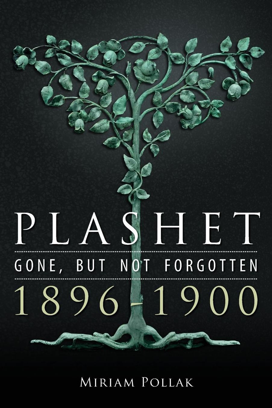 Plashet - Gone, But Not Forgotten: 1896-1900