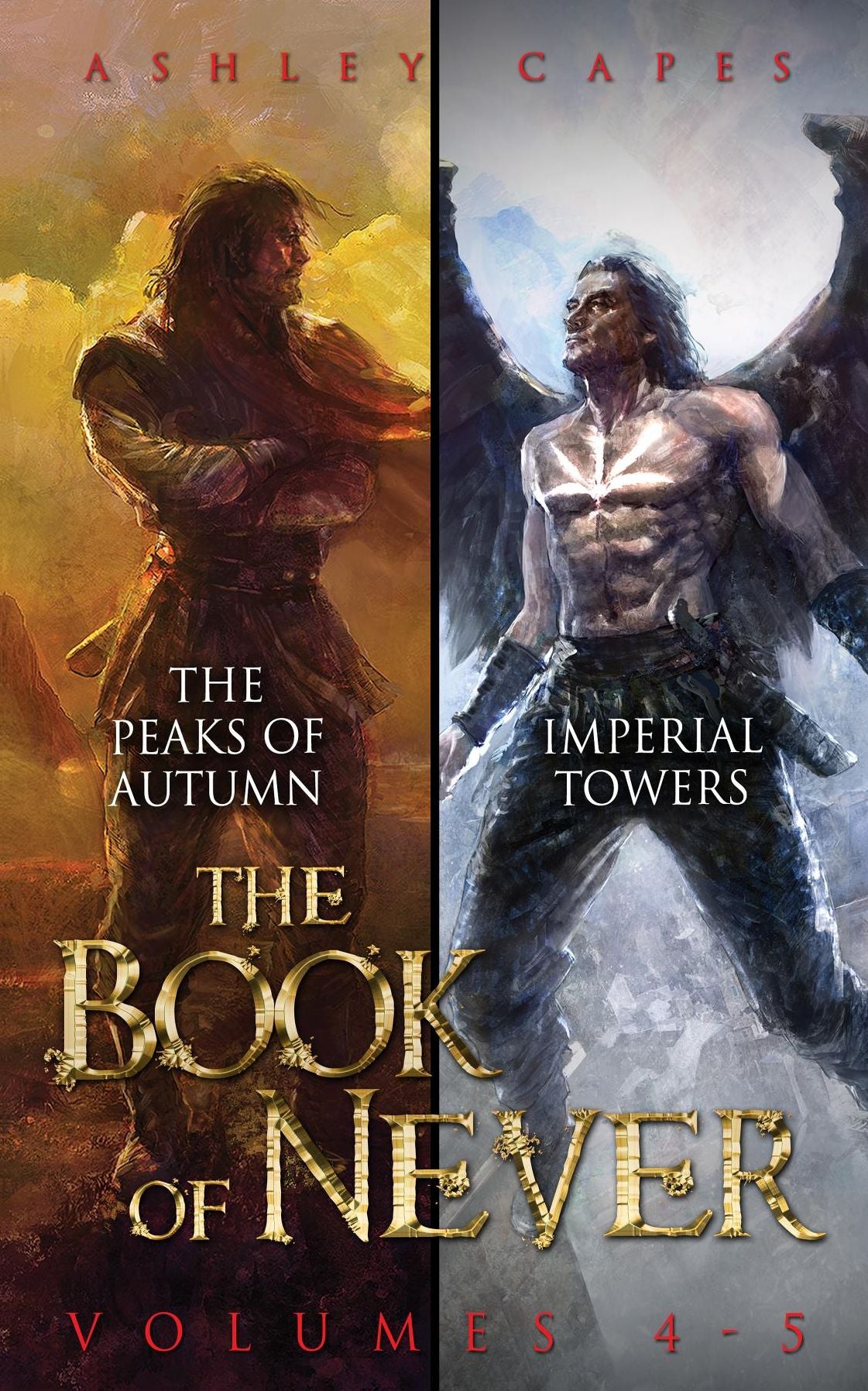 The Book of Never: Volumes 4-5