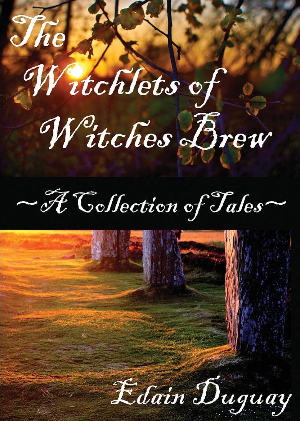 The Witchlets of Witches Brew