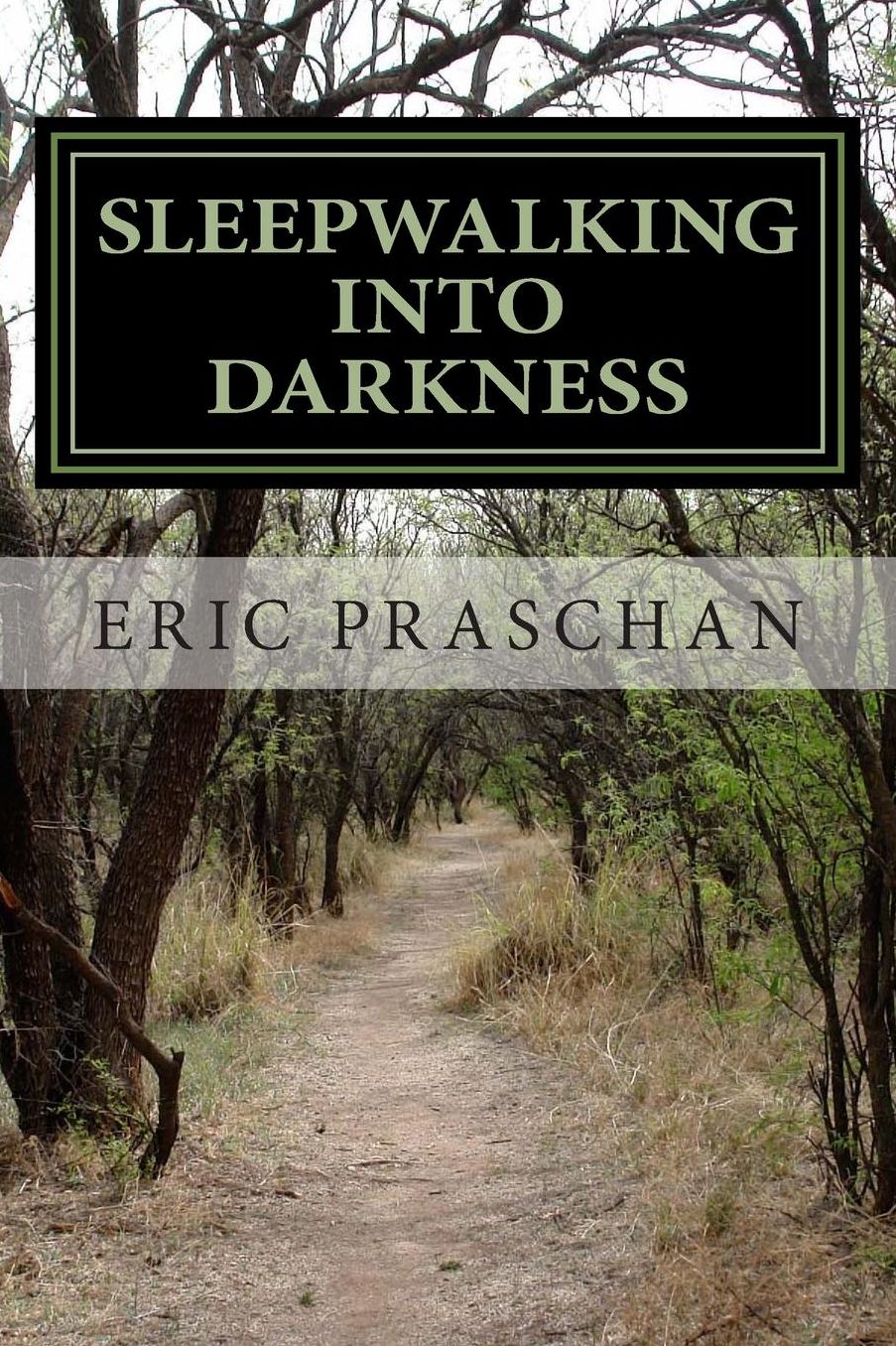 Sleepwalking into Darkness: (The James Women Trilogy Book 2)