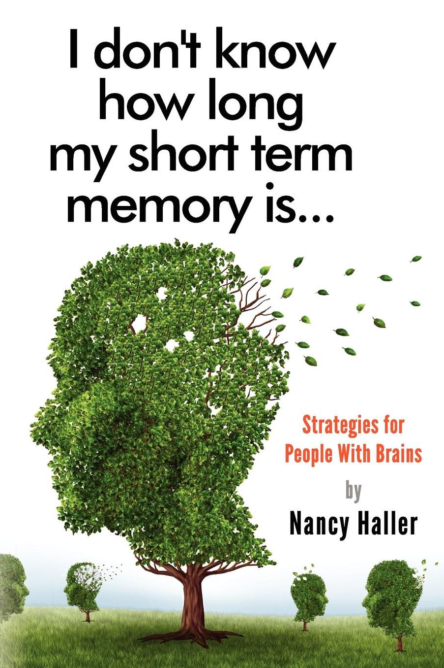 I don't know how long my short term memory is...: Strategies for People With Brains