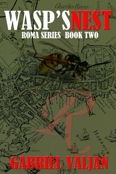 Wasp's Nest: Roma Series, Book Two