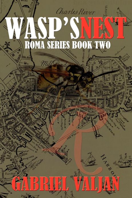 Wasp's Nest: Roma Series, Book Two