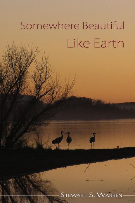 Somewhere Beautiful Like Earth