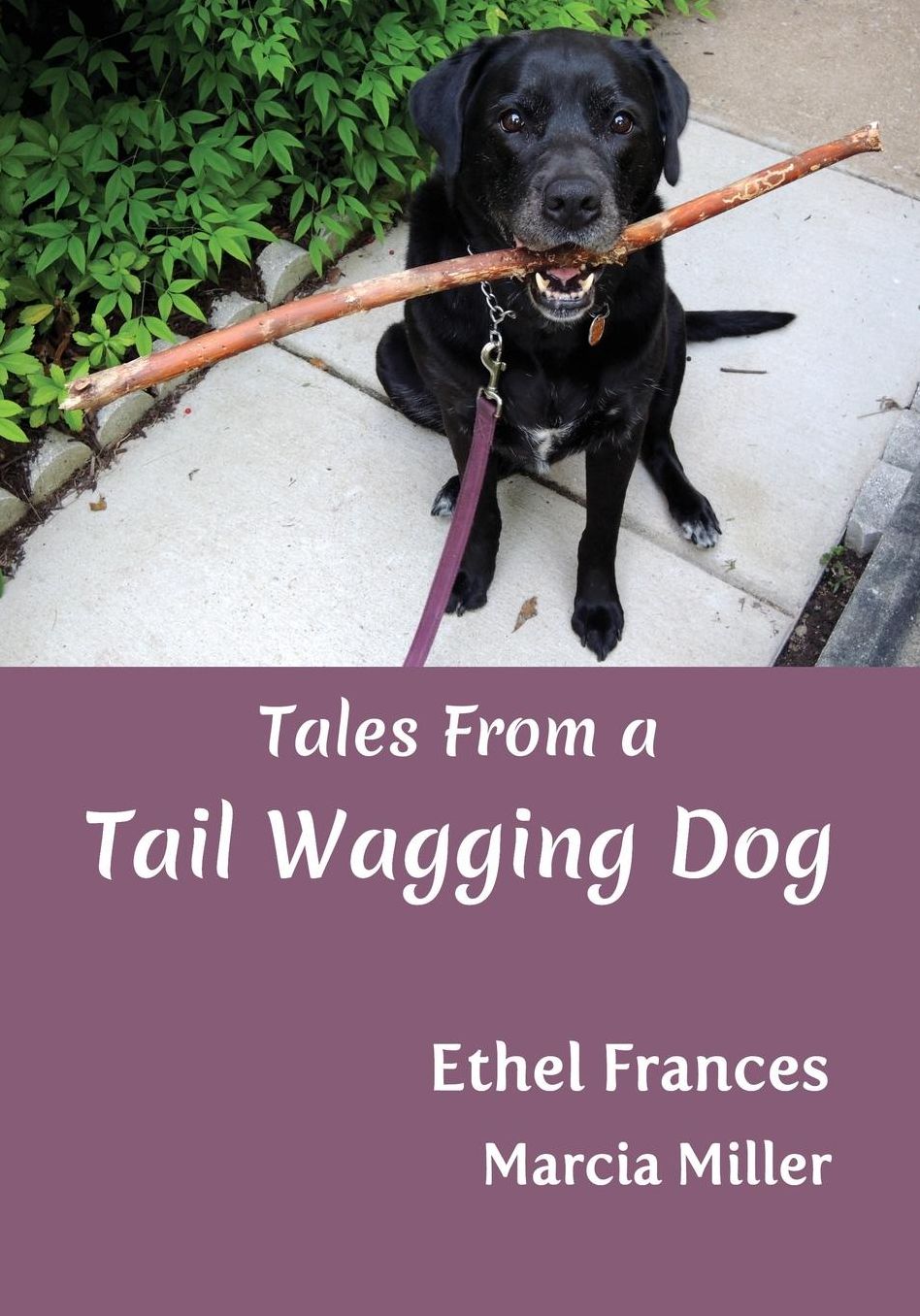 Tales From a Tail Wagging Dog