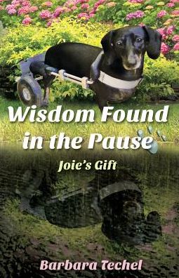 Wisdom Found in the Pause: Joie's Gift