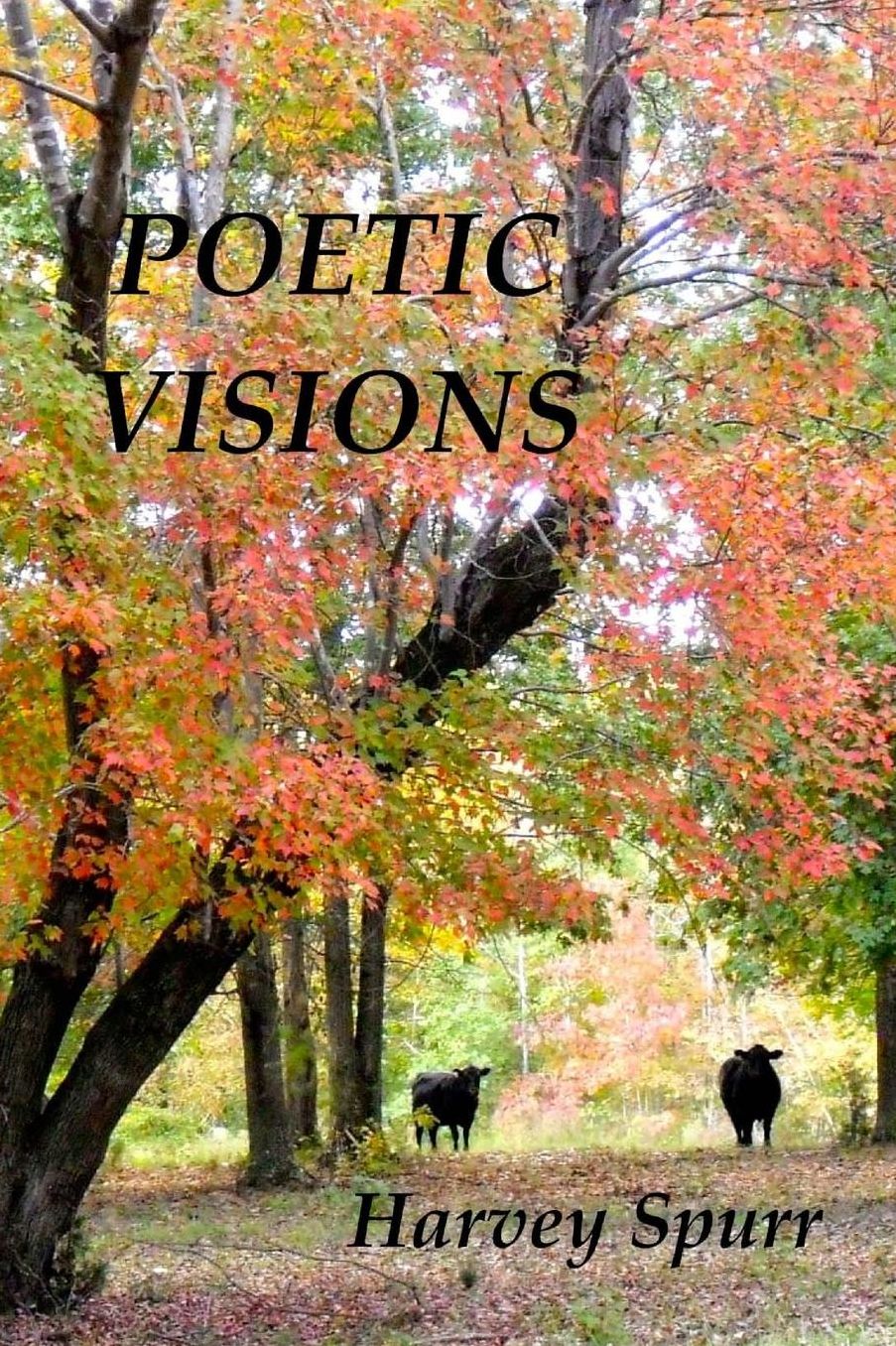 Poetic Visions
