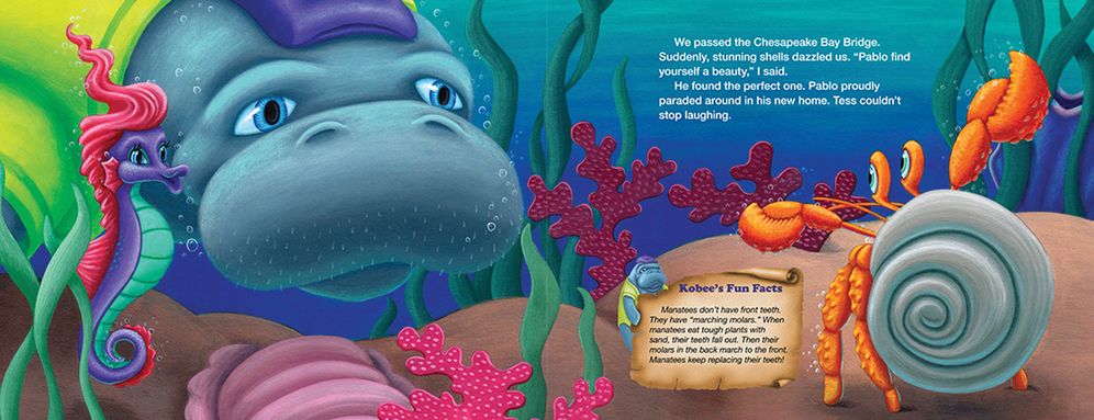 Kobee Manatee: Heading Home to Florida