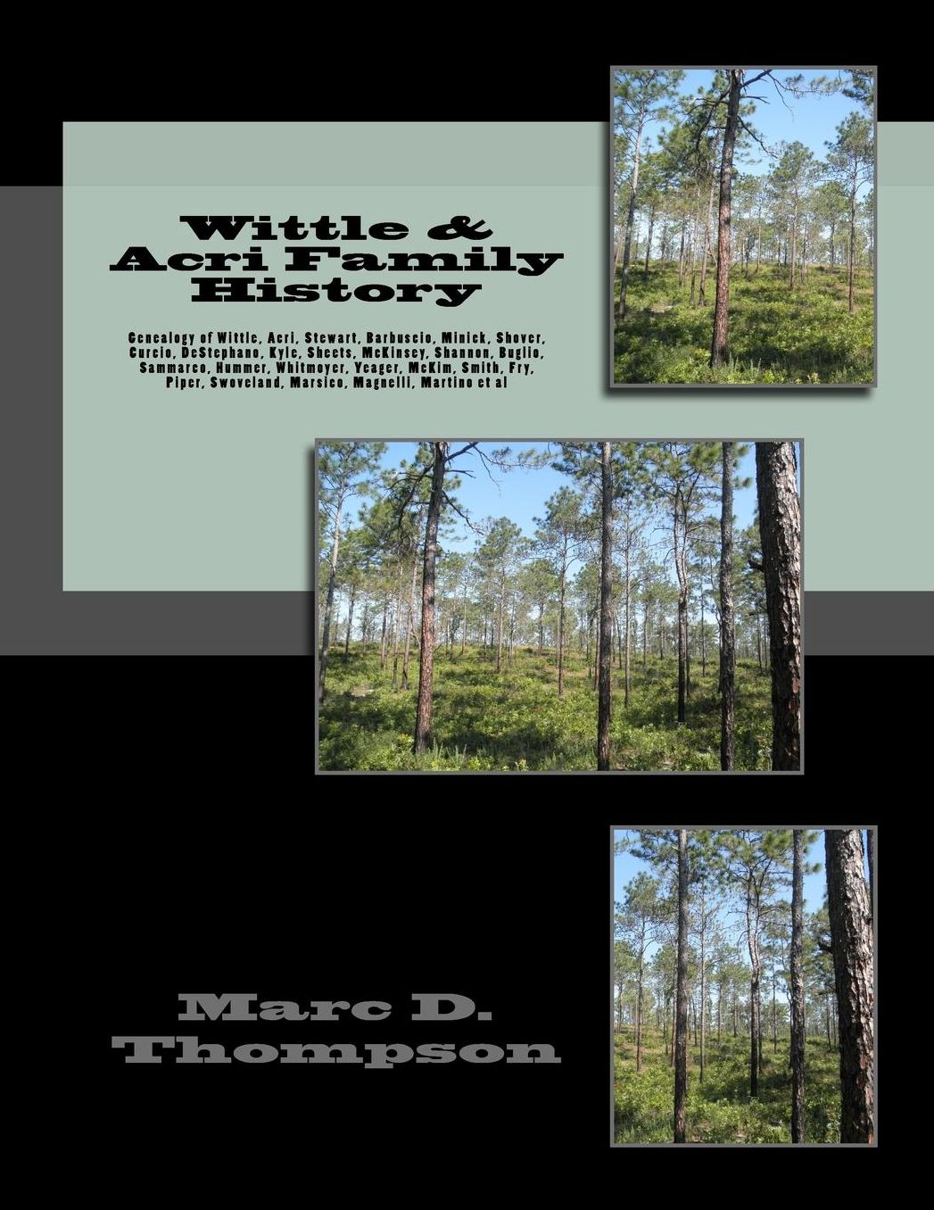 Genealogy of Wittle, Acri, Stewart, Barbuscio, Minick, Shover, Curcio, et al: Thompson Family History v. 5 of Ireland; Calabria, Sicily, Italy; Baden-Wurttemberg, Lower Saxony & Rhineland-Palatinate, Germany; and Cumberland, Dauphin, Franklin, Lancaster,