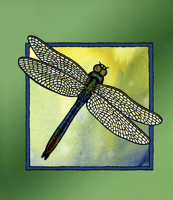 Dragonfly Blank Journal