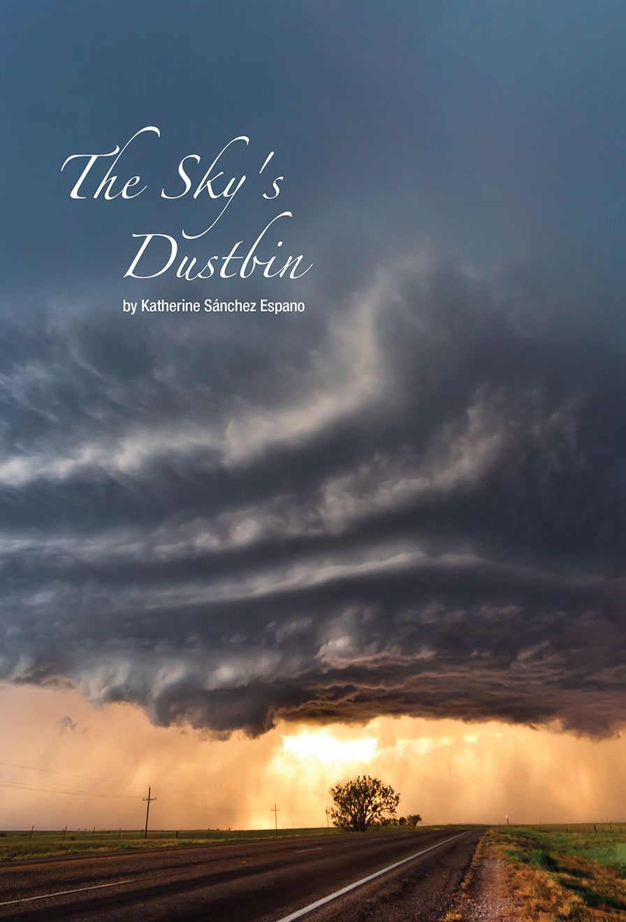 The Sky's Dustbin