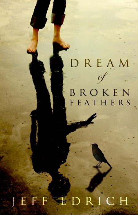 Dream of Broken Feathers