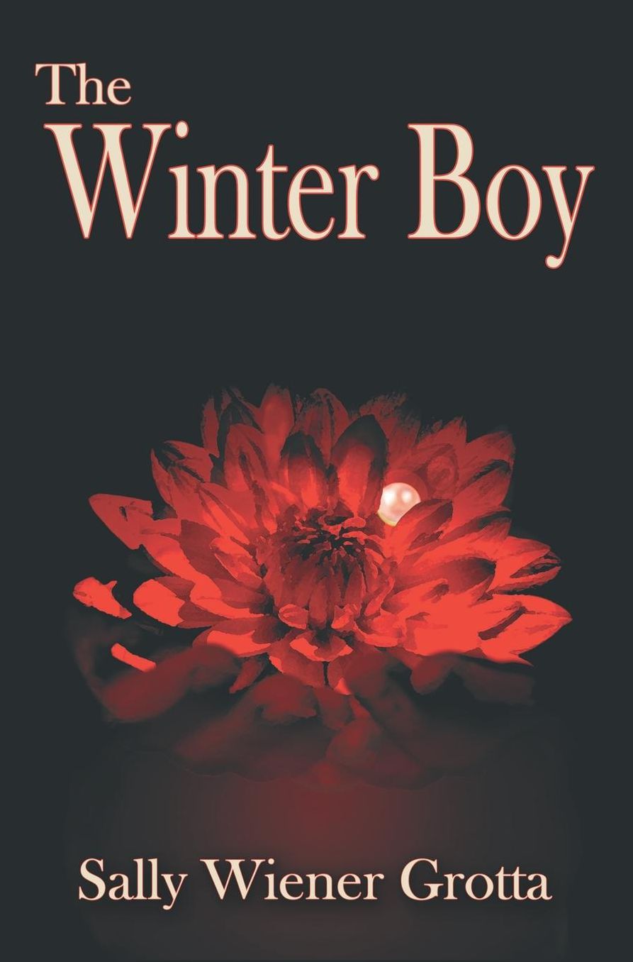 The Winter Boy