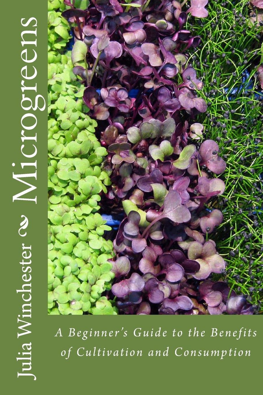 Microgreens: A Beginner's Guide to the Benefits of Cultivation and Consumption
