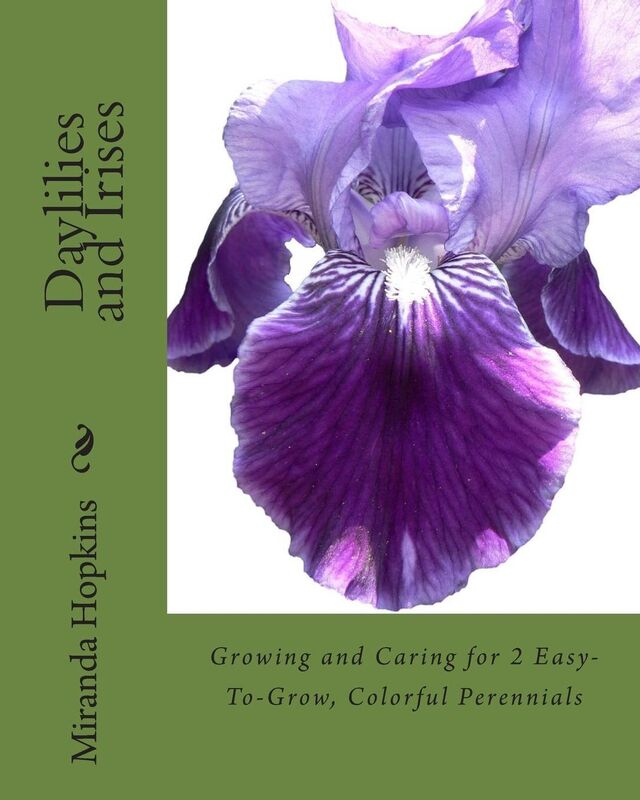 Daylilies and Irises: Growing and Caring for 2 Easy-To-Grow, Colorful Perennials