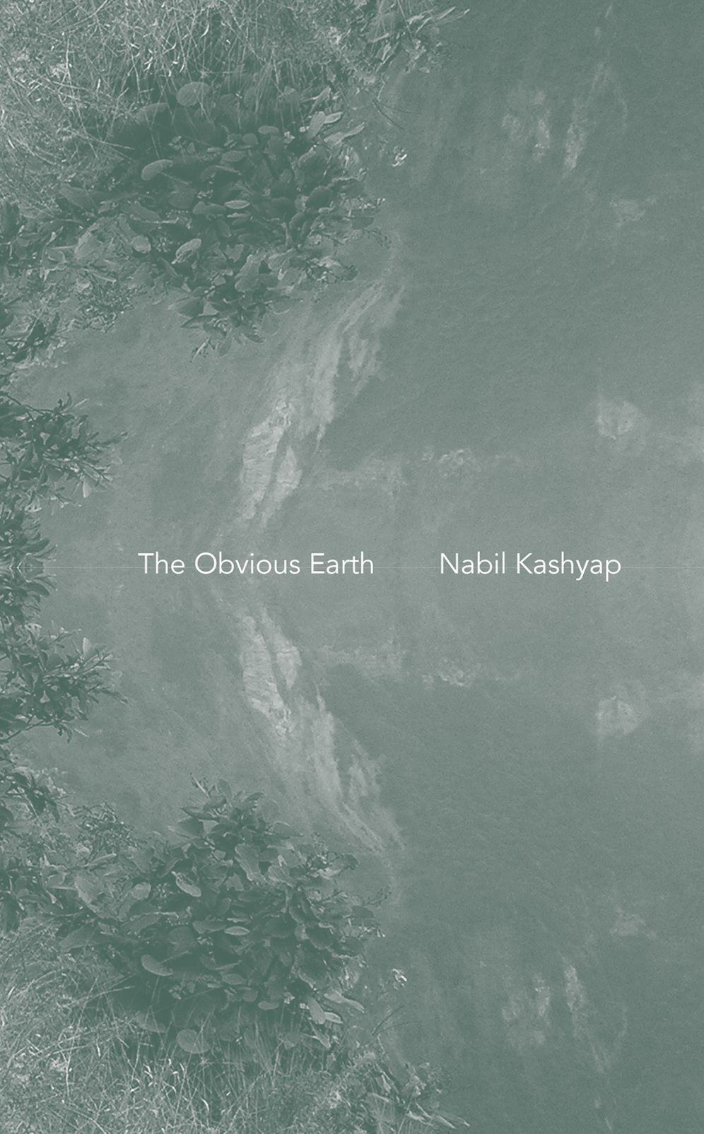 The Obvious Earth