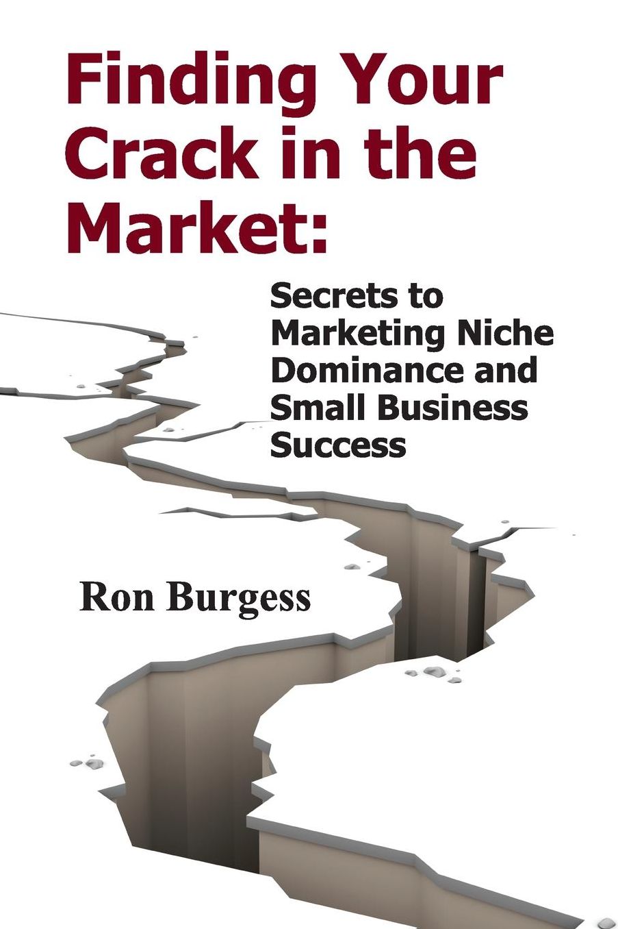 Finding Your Crack In The Market: Secrets to Marketing Niche Dominance and Small Business Success