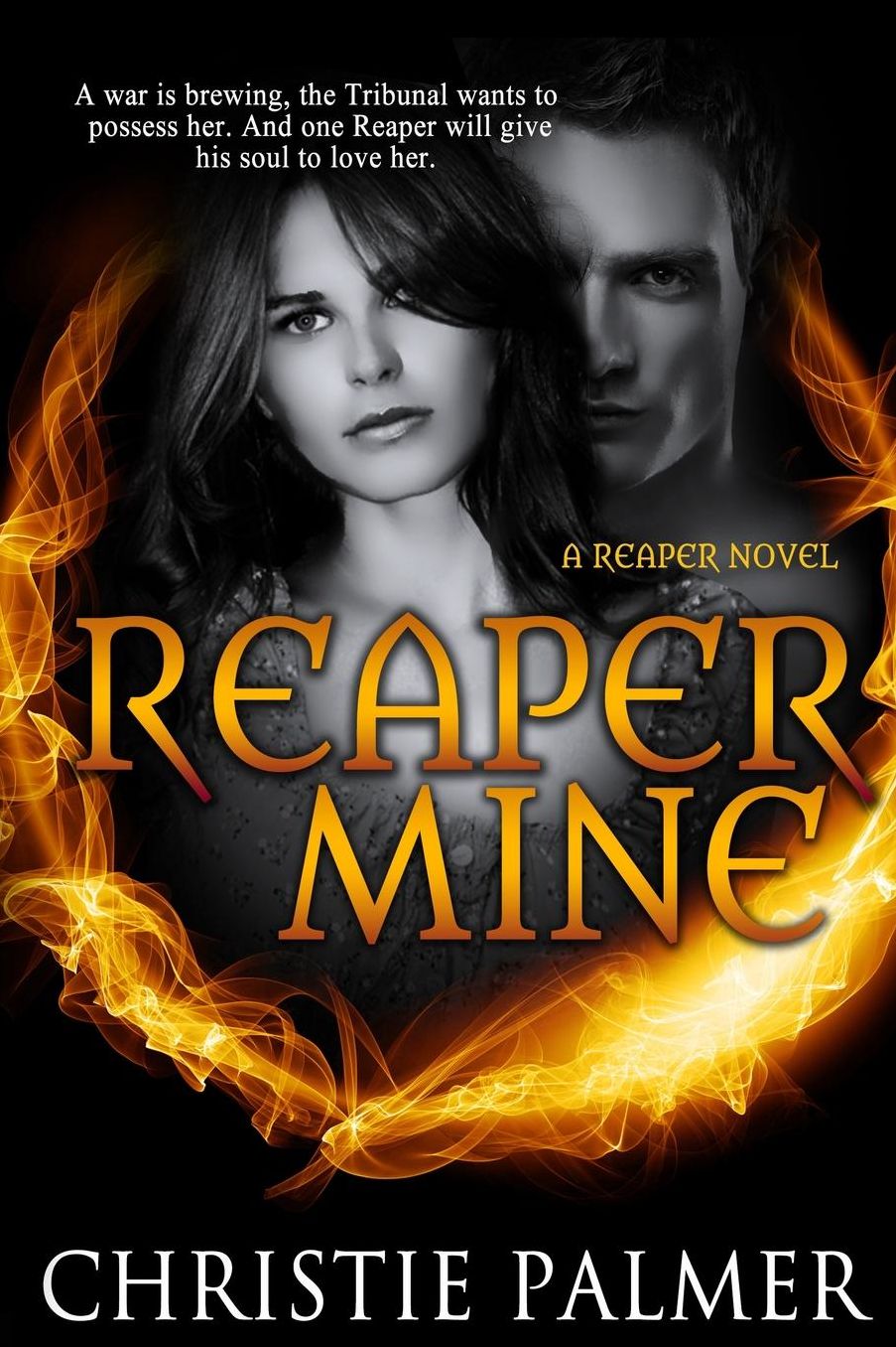Reaper Mine: (A Reaper Novel)
