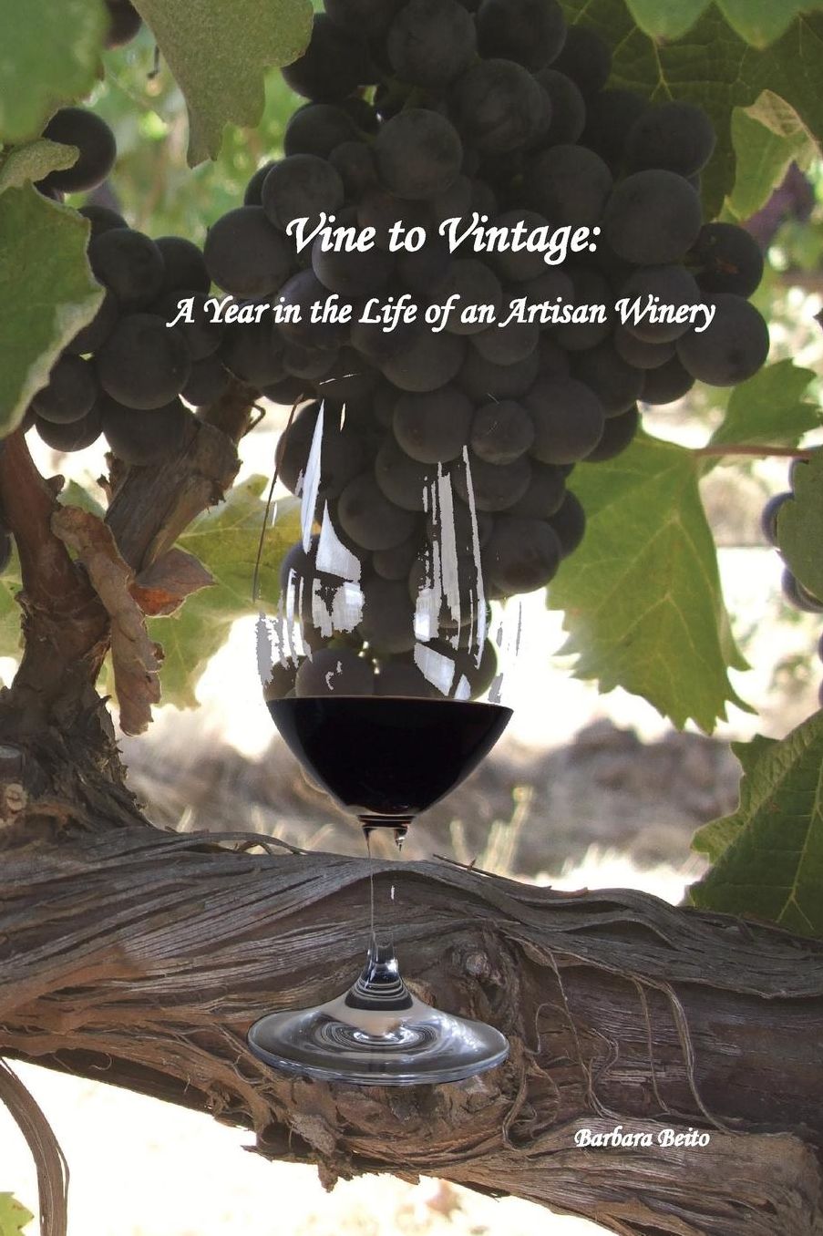 Vine to Vintage: A Year in the Life of an Artisan Winery