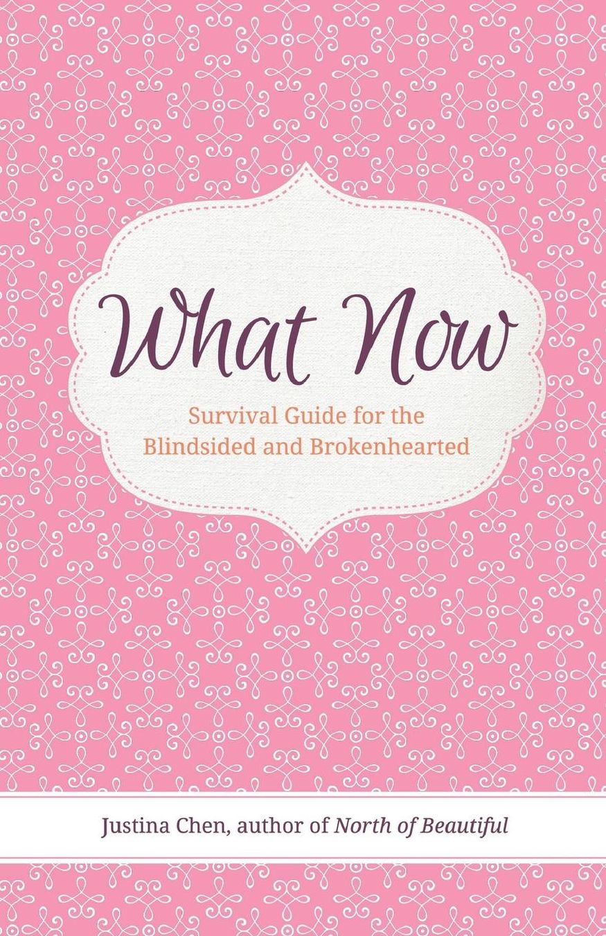 What Now: Survival Guide for the Blindsided and Brokenhearted