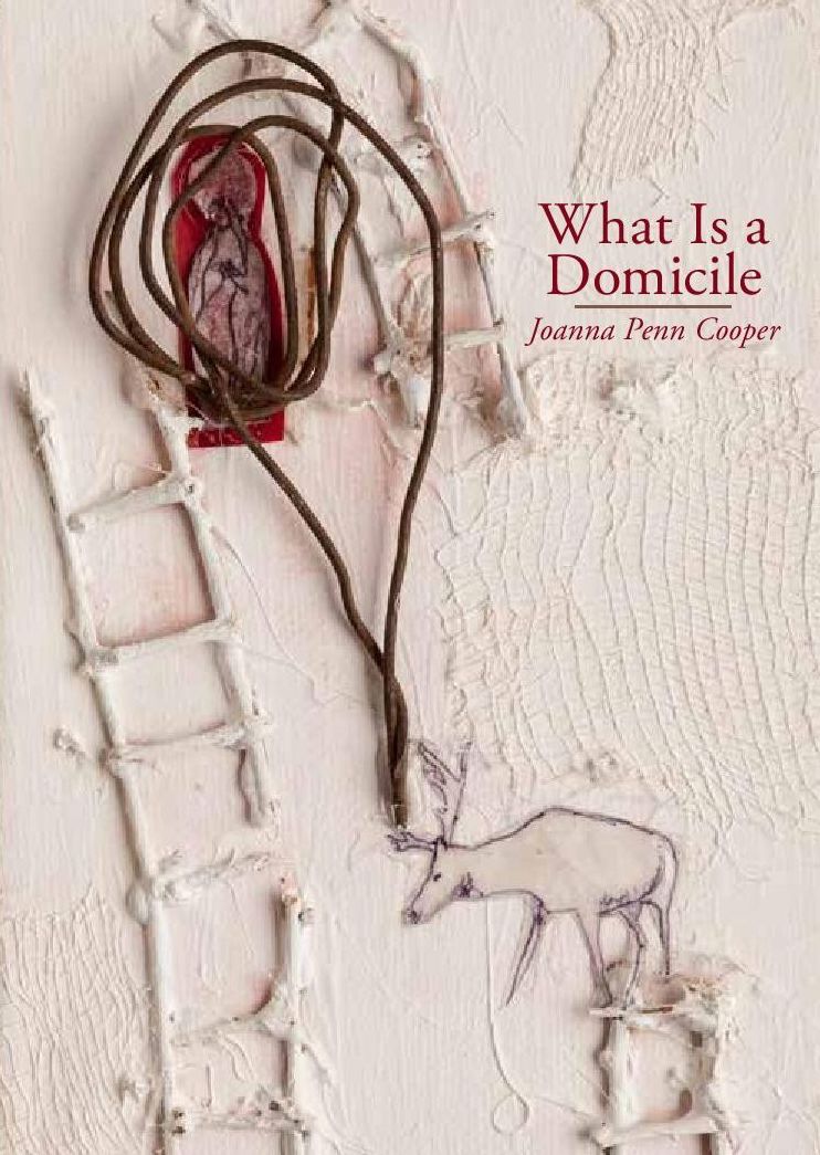 What Is a Domicile