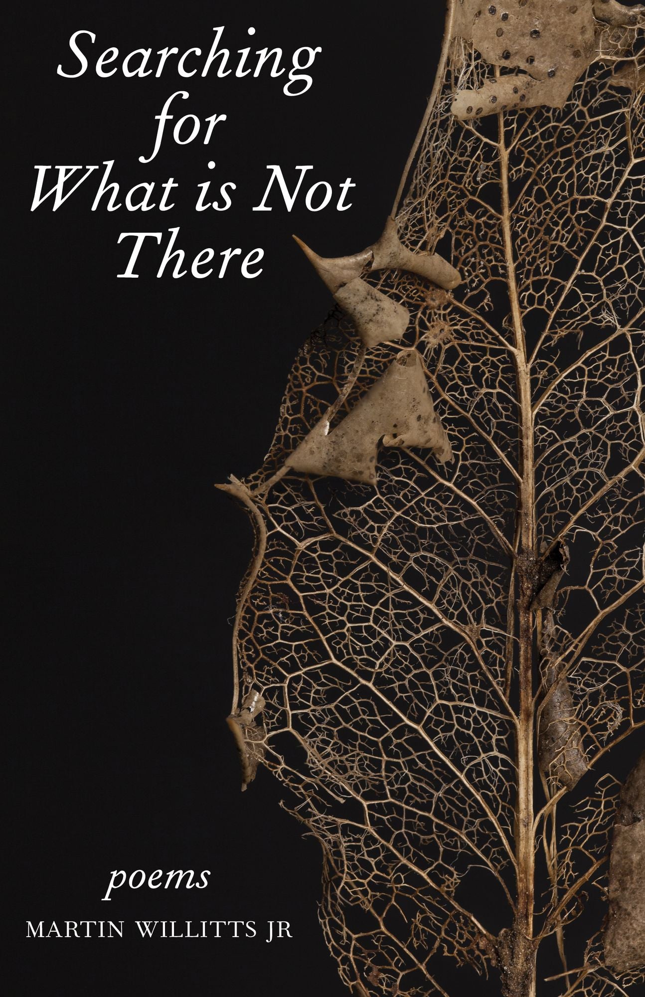 Searching for What is Not There